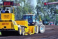 WIL_2274 - 