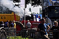 WIL_2374 - 