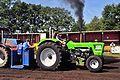 WIL_2446 - 