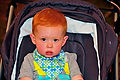 WIL_2709 - 